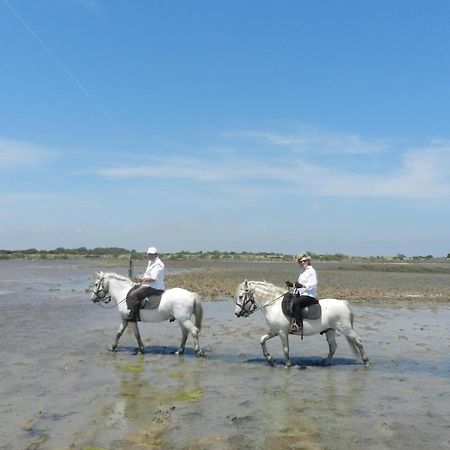 Mas De La Grenouillere Hotel Et Centre Equestre En Pleine Nature Saintes-Maries-de-la-Mer Eksteriør bilde