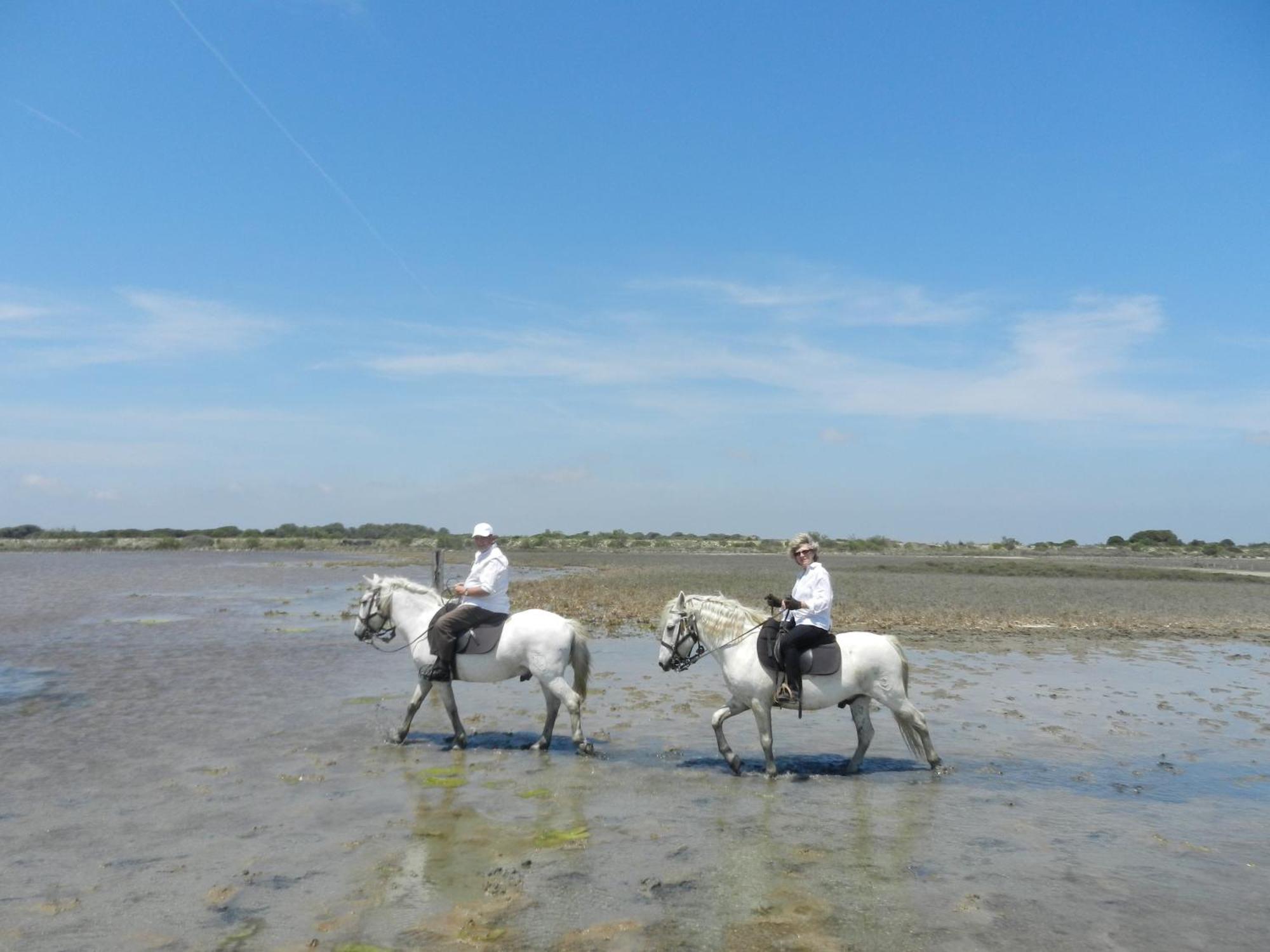 Mas De La Grenouillere Hotel Et Centre Equestre En Pleine Nature Saintes-Maries-de-la-Mer Eksteriør bilde